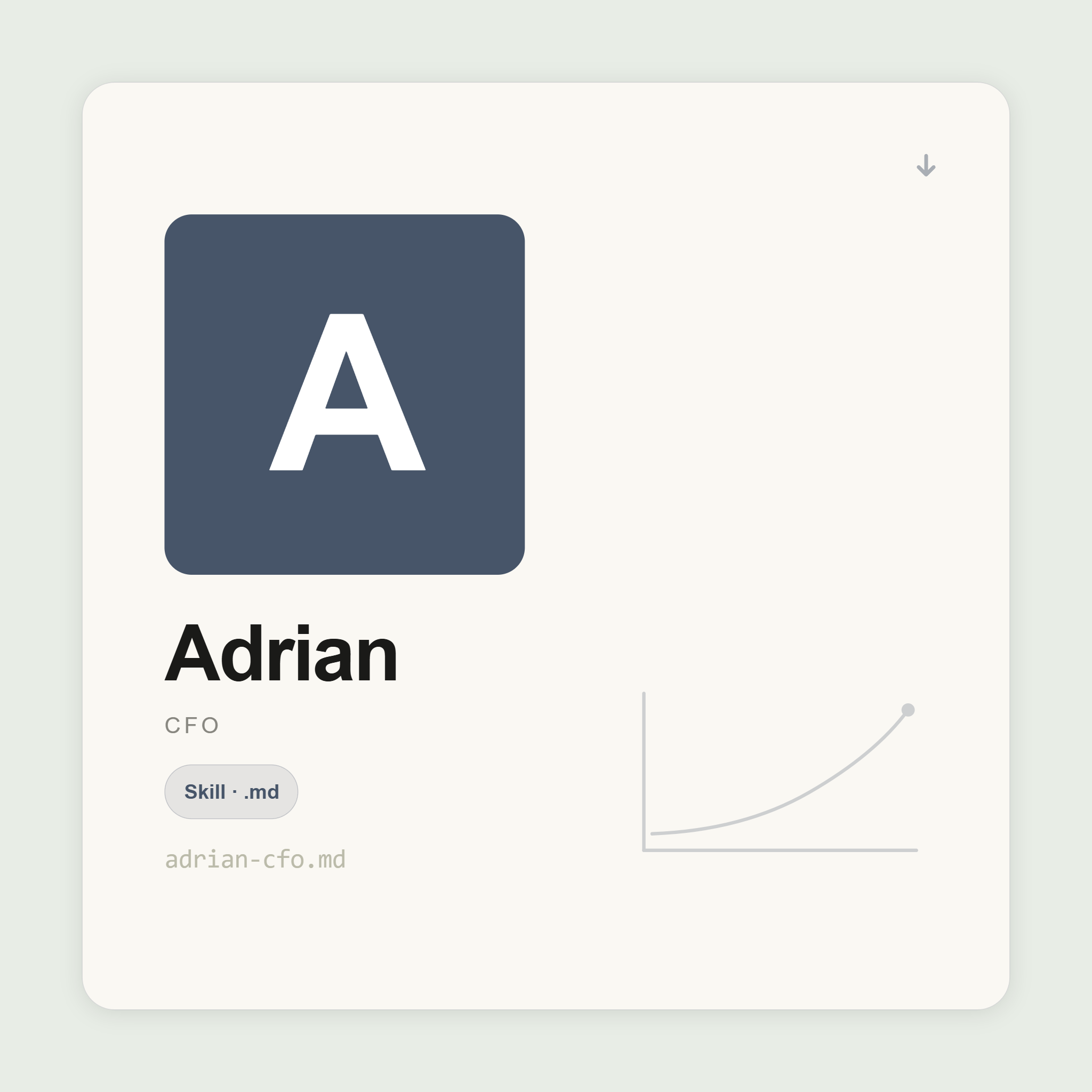 Adrian — CFO AI Skill