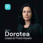 Dorotea Lease and Fixed Assets AI skill cover