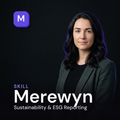 Merewyn - Sustainability & ESG Reporting