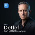 detlef-sap-mdg-consultant cover