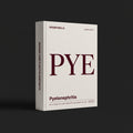 Pyelonephritis Nursing Care Plan Claude skill by KissMySkills, warm bone white laid paper cover with the monogram PYE