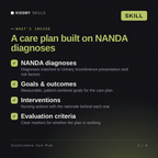 What's inside the Incontinence Care Plan AI skill: NANDA diagnoses, Goals & outcomes, Interventions, Evaluation criteria