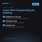 What's inside the AI SAS Programming Tutor AI skill: Explains as you go, Checked code, Practice set