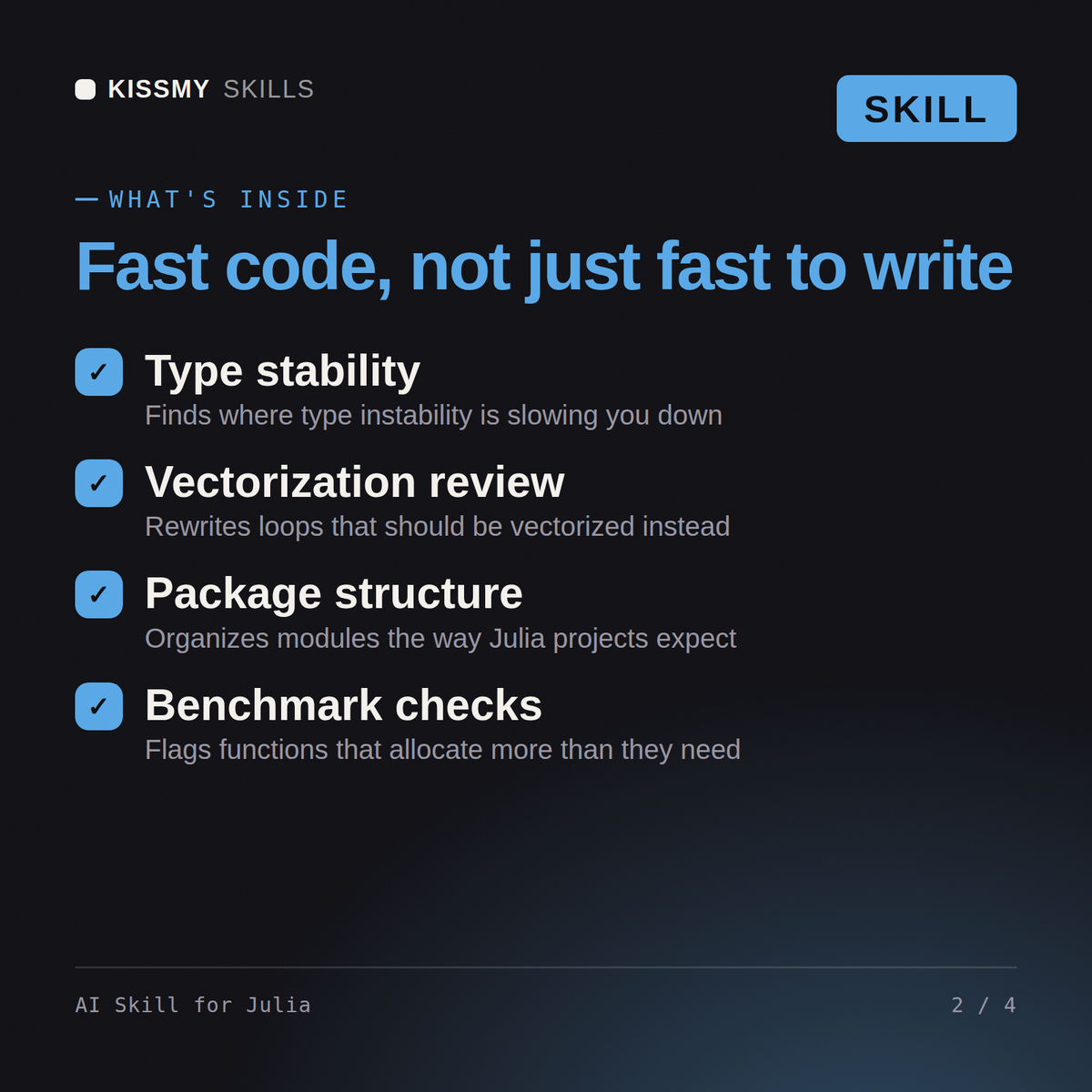 What's inside the AI Skill for Julia AI skill: Type stability, Vectorization review, Package structure, Benchmark checks