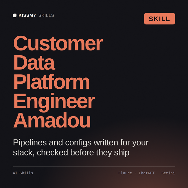 Customer Data Platform Engineer, Amadou AI skill by KissMySkills, cover