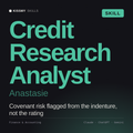 Credit Research Analyst, Anastasie AI skill by KissMySkills, cover