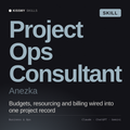 Project Ops Consultant, Anezka AI skill by KissMySkills, cover