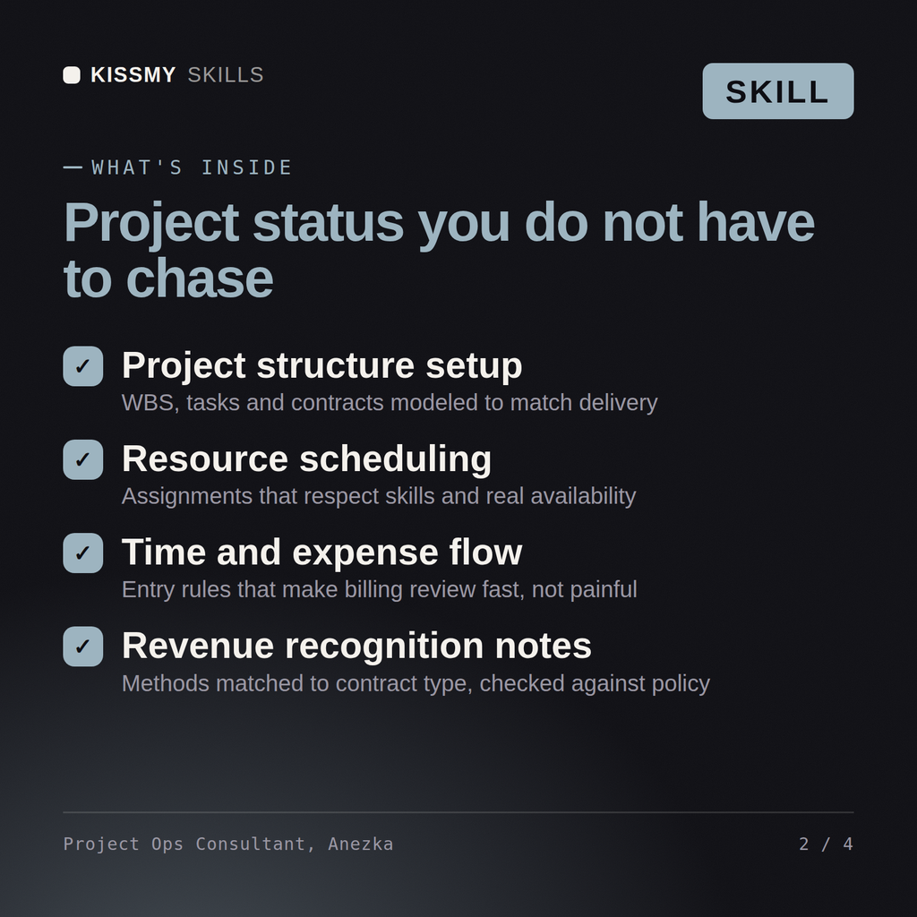 What's inside the Project Ops Consultant, Anezka AI skill: Project structure setup, Resource scheduling, Time and expense flow, Revenue recognition notes