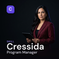 Cressida — Program Manager AI Skill