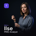Ilse — PMO Analyst AI Skill