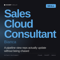 Sales Cloud Consultant, Bianca AI skill by KissMySkills, cover