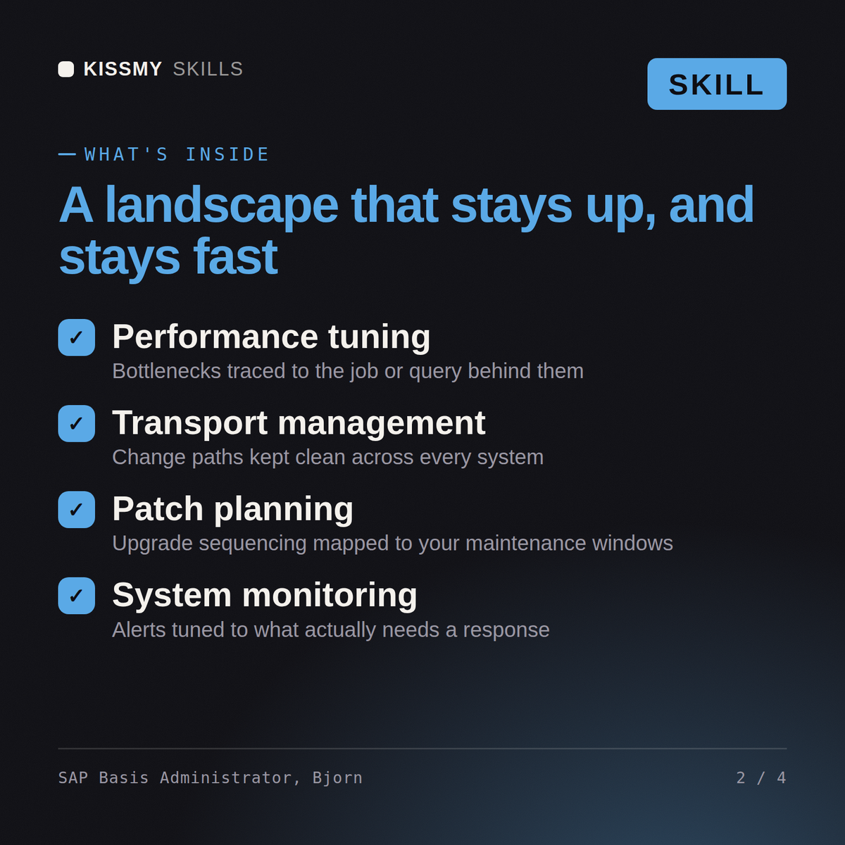 What's inside the SAP Basis Administrator, Bjorn AI skill: Performance tuning, Transport management, Patch planning, System monitoring