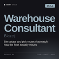 Warehouse Consultant, Blazej AI skill by KissMySkills, cover