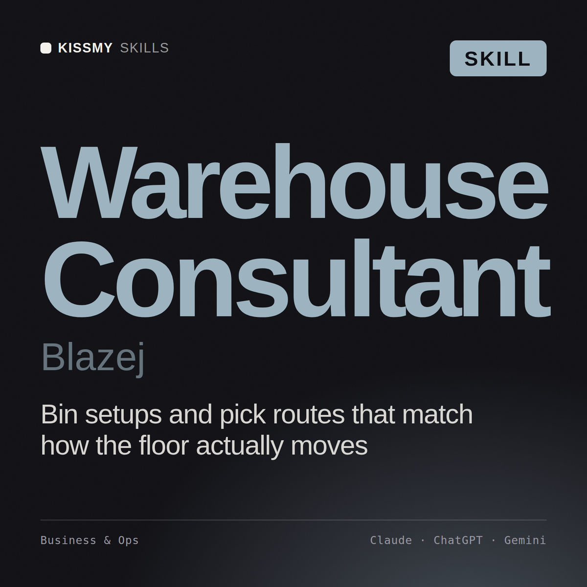Warehouse Consultant, Blazej AI skill by KissMySkills, cover