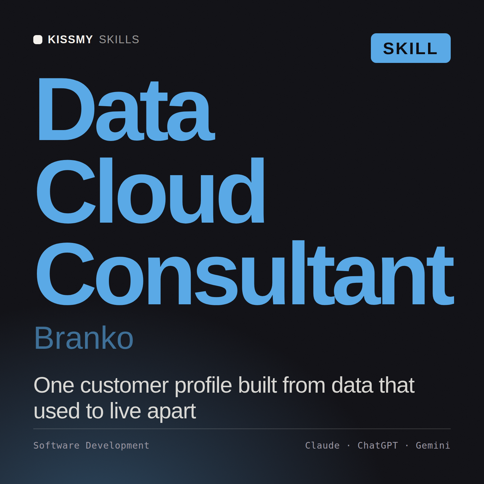Data Cloud Consultant, Branko AI skill by KissMySkills, cover