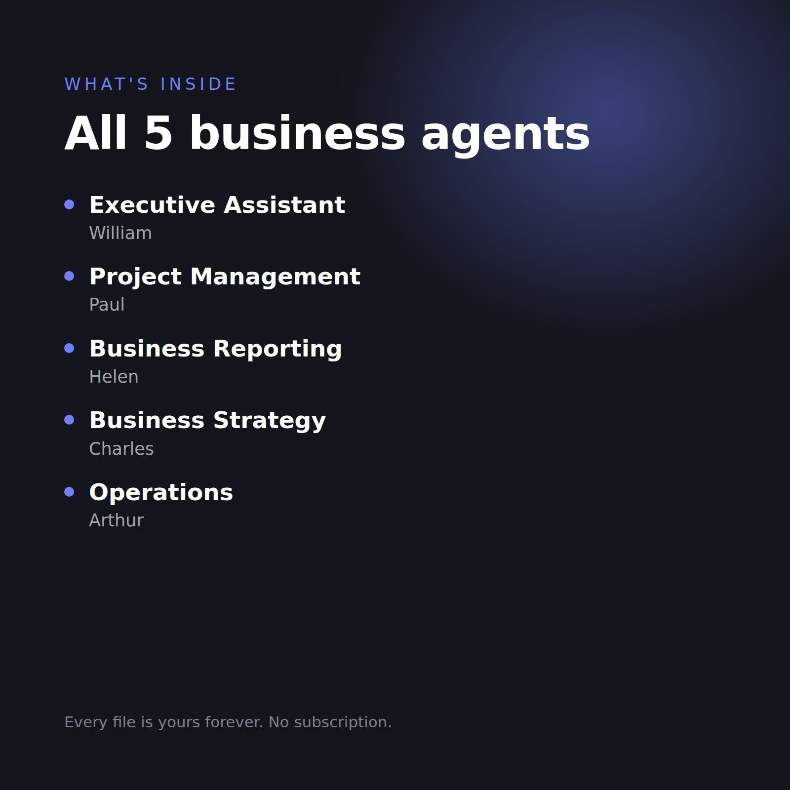 What is inside the Business Agent Bundle: Executive Assistant, Project Management, Business Reporting, Business Strategy and Operations