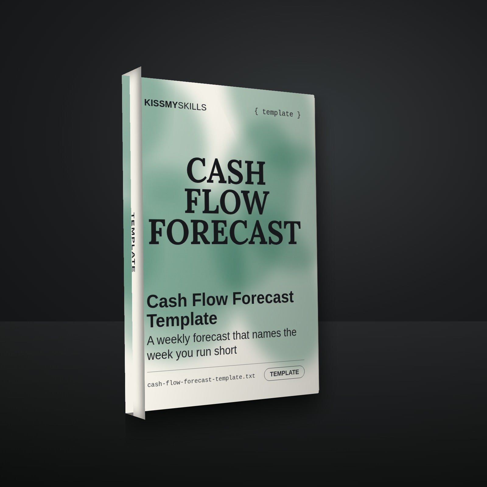 Cash Flow Forecast Template cover