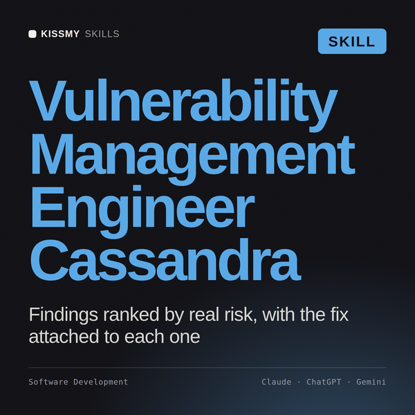 Vulnerability Management Engineer, Cassandra AI skill by KissMySkills, cover