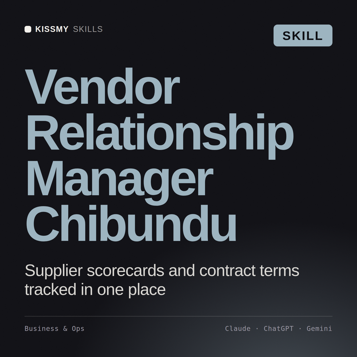 Vendor Relationship Manager, Chibundu AI skill by KissMySkills, cover