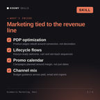 Dani - E-commerce Marketing Specialist AI Skill
