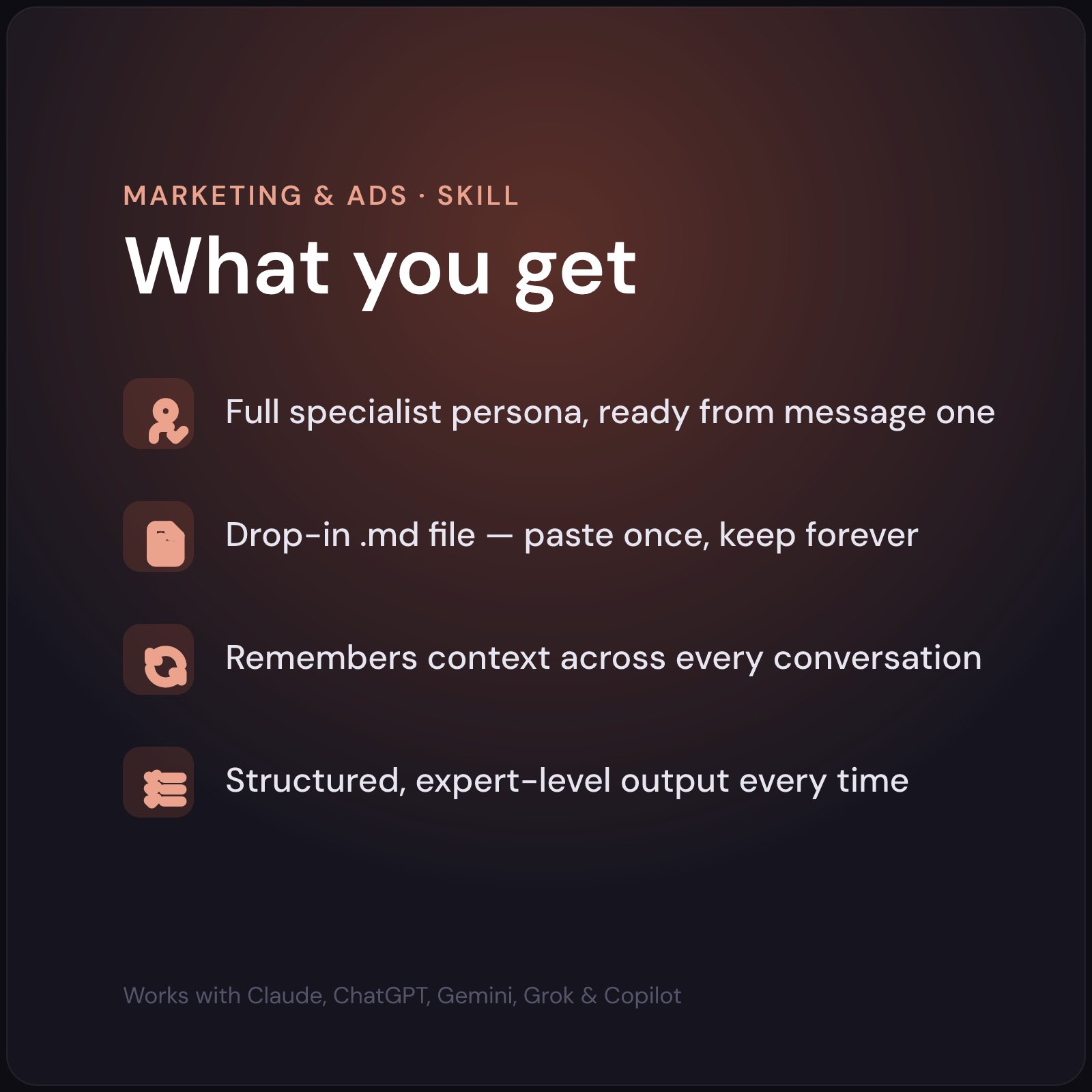 Nina — LinkedIn Ads Specialist AI Skill — what's included