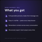 Adrian — CFO AI Skill — what's included