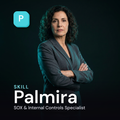 Palmira - SOX & Internal Controls Specialist
