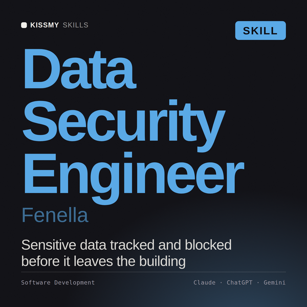 Data Security Engineer, Fenella AI skill by KissMySkills, cover
