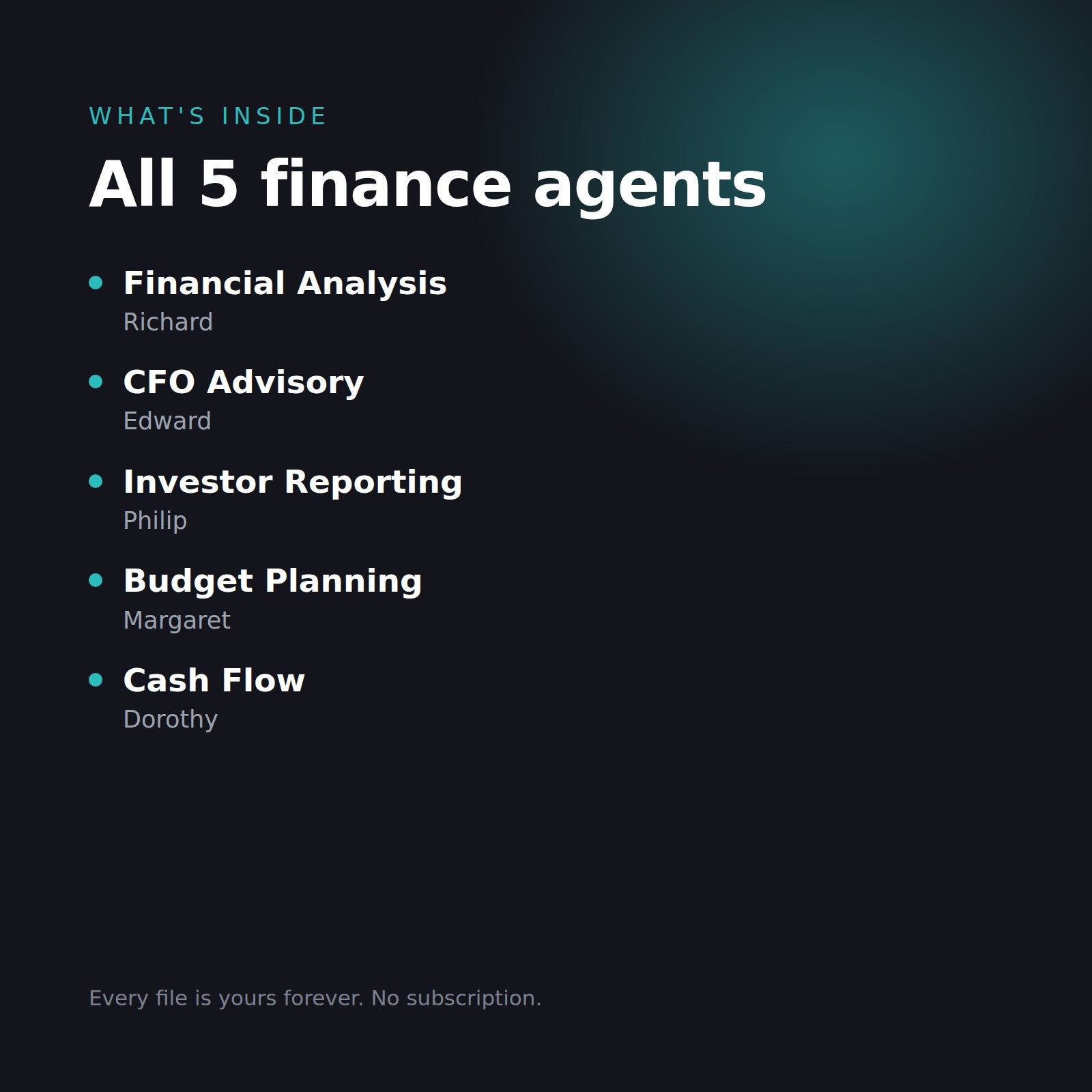 What is inside the Finance Agent Bundle: Financial Analysis, CFO Advisory, Investor Reporting, Budget Planning and Cash Flow