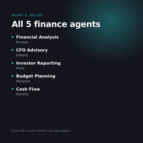 What is inside the Finance Agent Bundle: Financial Analysis, CFO Advisory, Investor Reporting, Budget Planning and Cash Flow