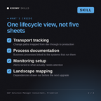 What's inside the SAP Solution Manager Consultant, Friedrich AI skill: Transport tracking, Process documentation, Monitoring setup, Landscape mapping