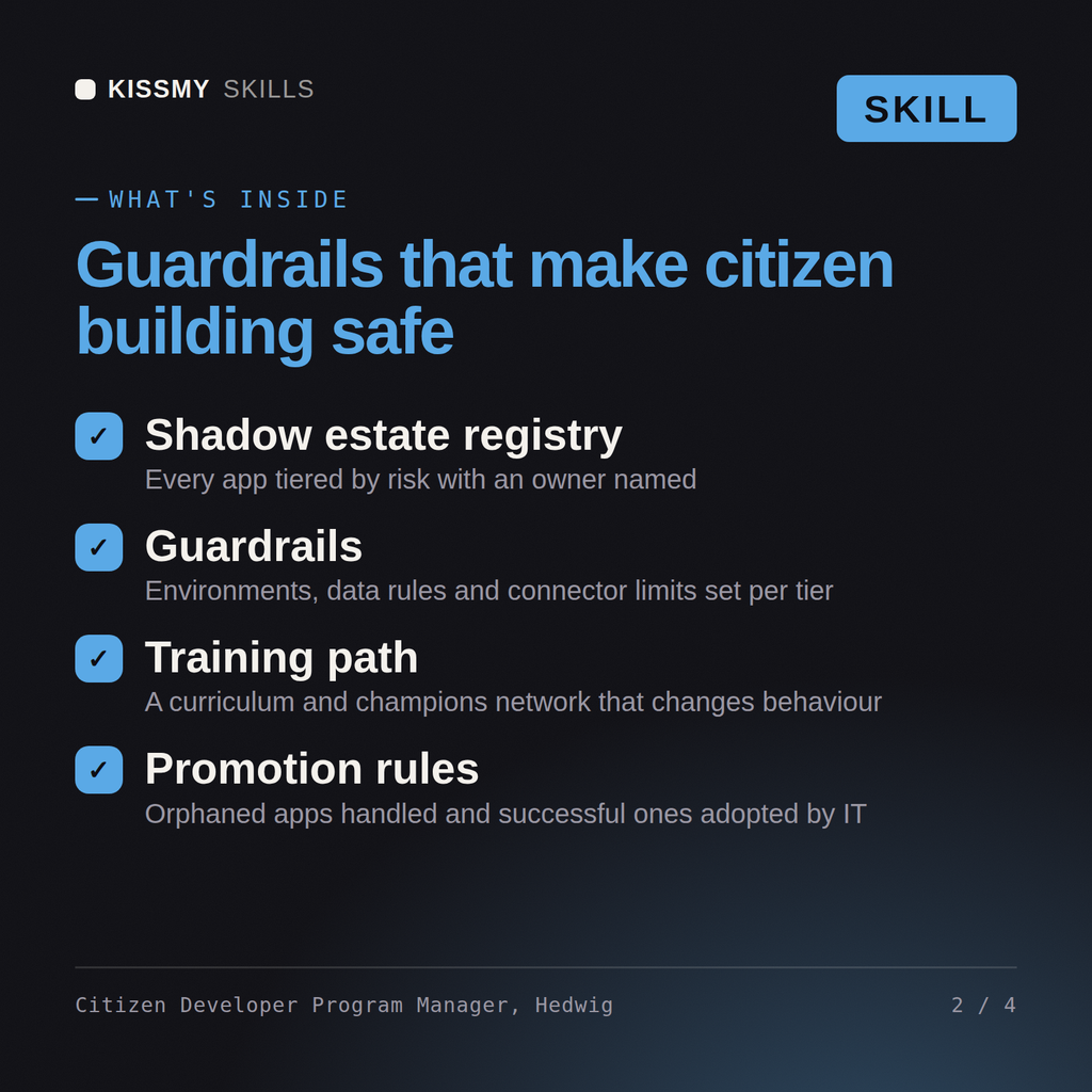 What's inside the Citizen Developer Program Manager, Hedwig AI skill: Shadow estate registry, Guardrails, Training path, Promotion rules