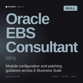 Oracle EBS Consultant, Idris AI skill by KissMySkills, cover