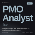PMO Analyst, Ilse AI skill by KissMySkills, cover