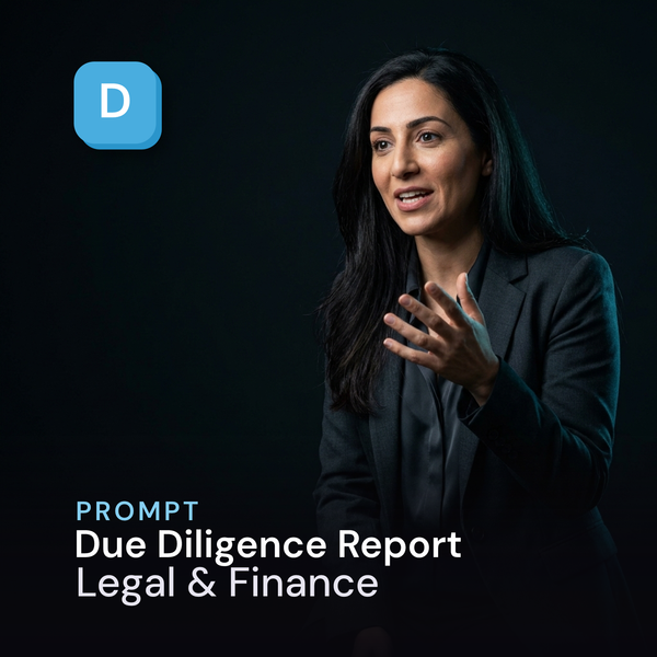Due Diligence Report — Legal & Finance Prompt