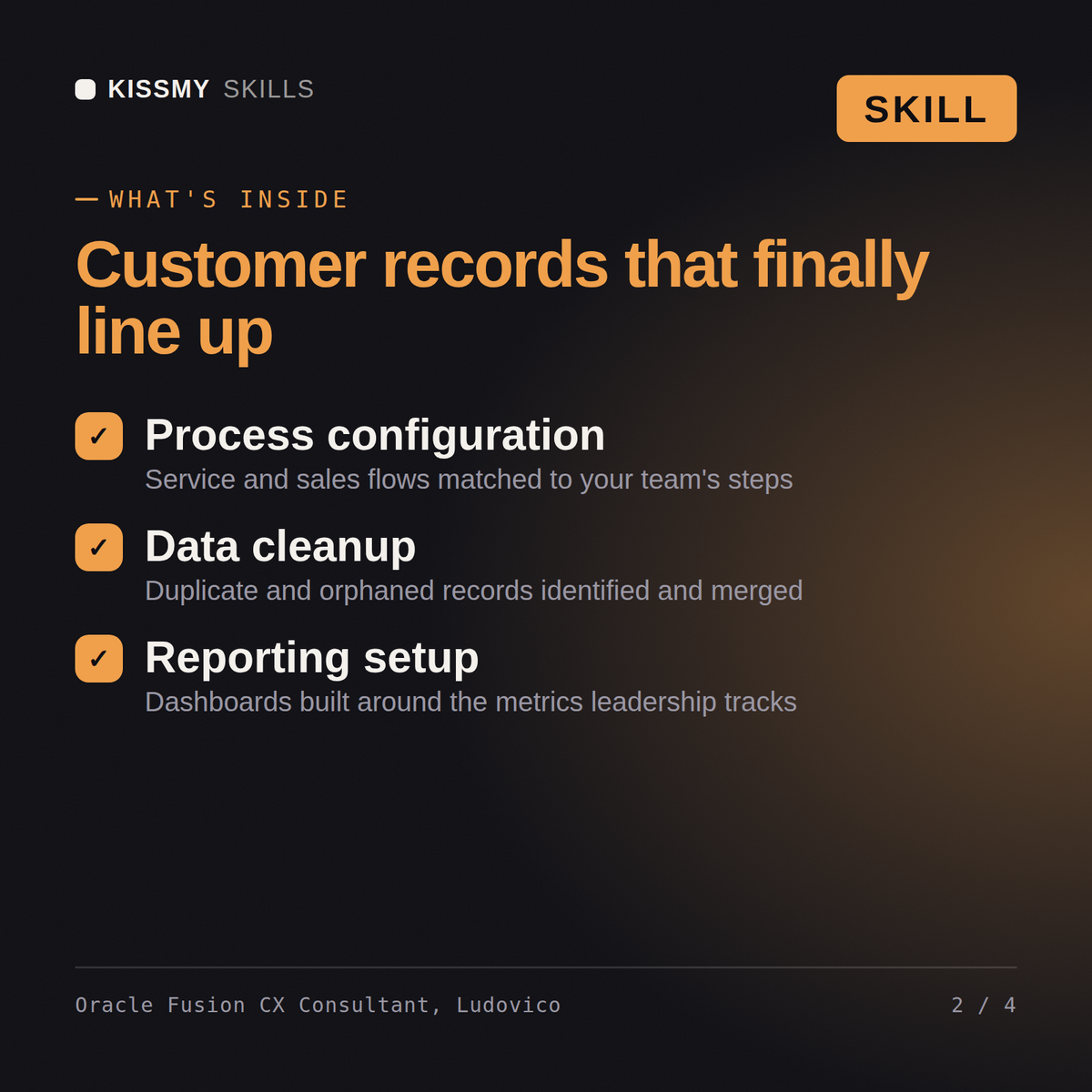 What's inside the Oracle Fusion CX Consultant, Ludovico AI skill: Process configuration, Data cleanup, Reporting setup