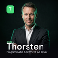 Thorsten - Programmatic & CTV/OTT Ad Buyer AI Skill