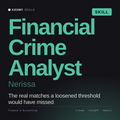 Financial Crime Analyst, Nerissa AI skill by KissMySkills, cover