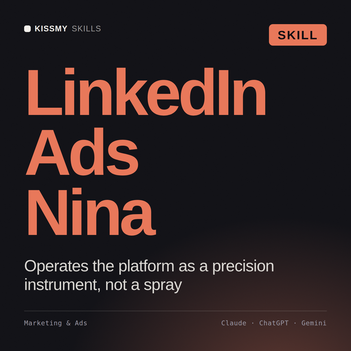 Nina - LinkedIn Ads Specialist AI Skill