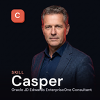 Casper - Oracle JD Edwards EnterpriseOne Consultant AI Skill