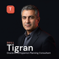 Tigran - Oracle EPM/Hyperion Planning Consultant AI Skill