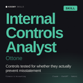 Internal Controls Analyst, Ottone AI skill by KissMySkills, cover