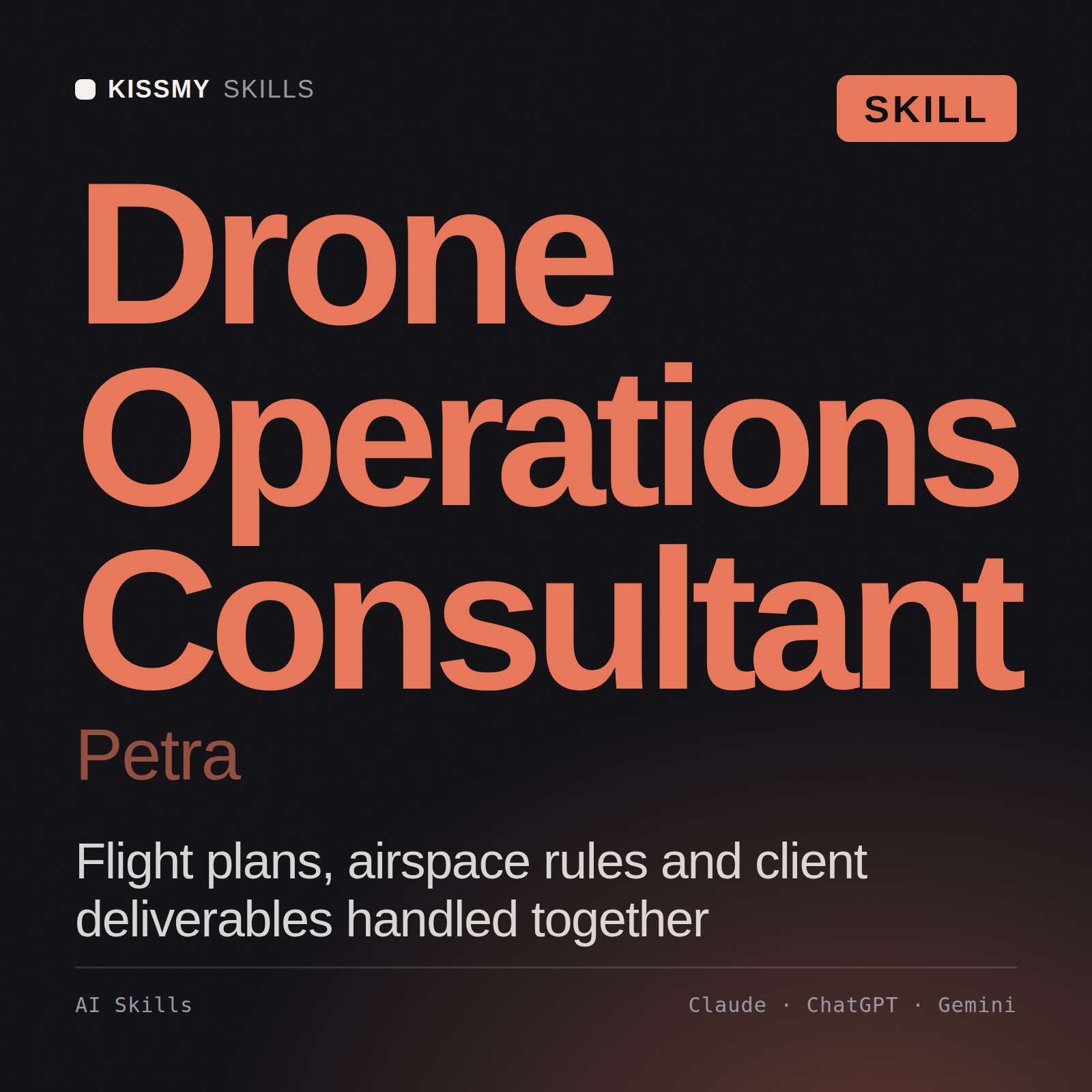 Drone Operations Consultant, Petra AI skill by KissMySkills, cover