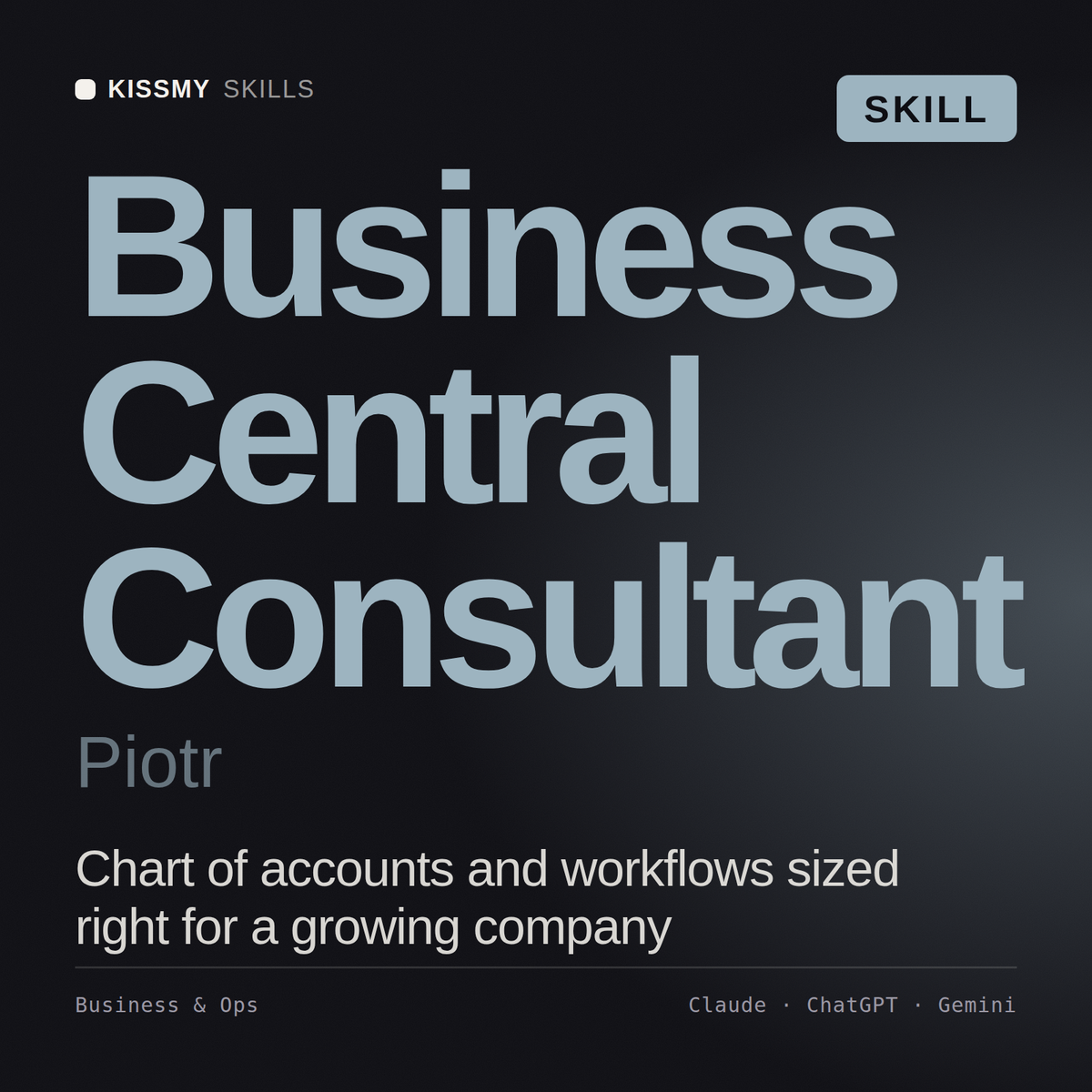 Business Central Consultant, Piotr AI skill by KissMySkills, cover