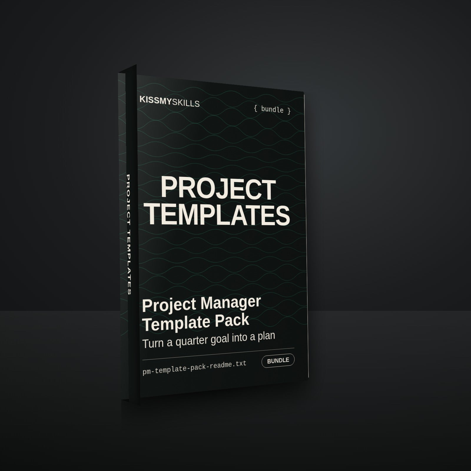 Project Manager Template Pack cover