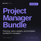 Project Manager Bundle AI bundle by KissMySkills, cover