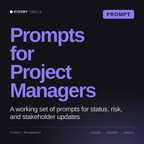 Prompts for Project Managers AI prompt by KissMySkills, cover