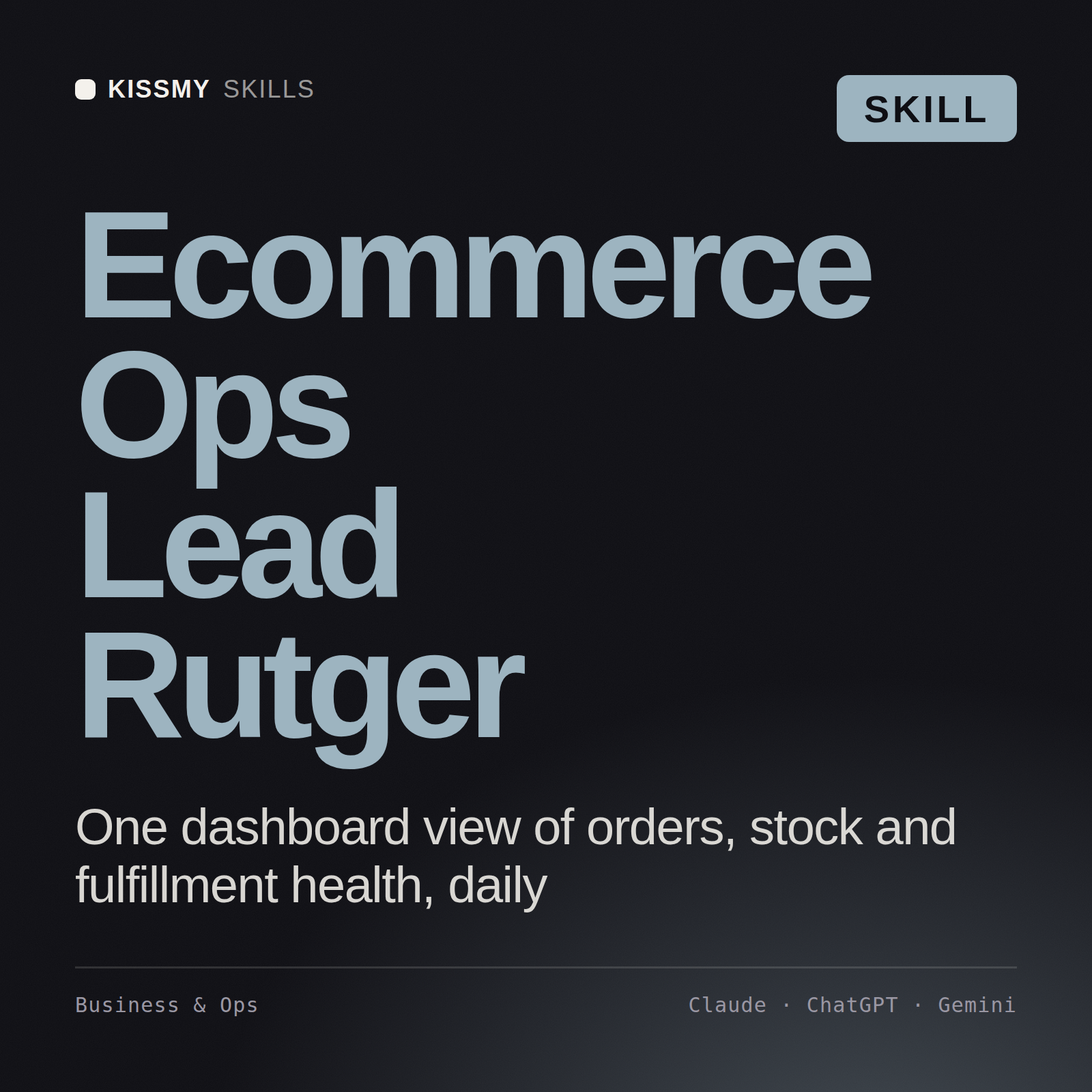 Ecommerce Ops Lead, Rutger AI skill by KissMySkills, cover