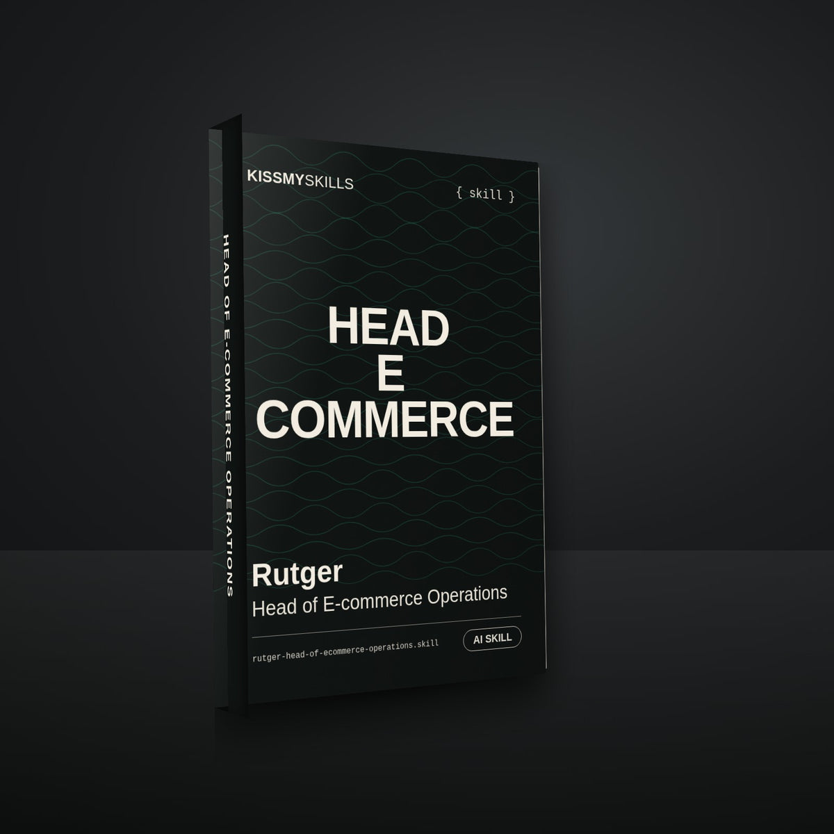 Rutger - Head of E-commerce Operations AI Skill cover