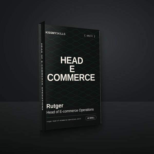 Rutger - Head of E-commerce Operations AI Skill cover